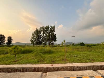 Level Area Plot File, A to B