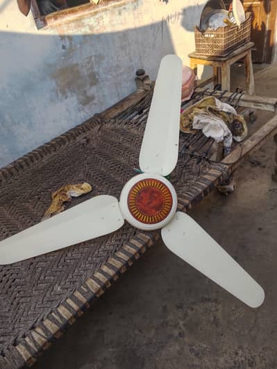 ceiling fan for sale