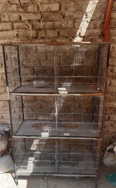 Hen birds cage 6 portions