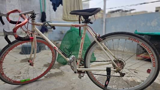 Japanese imported cycle raychell