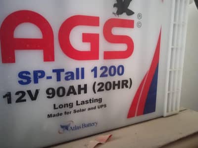 AGS battery