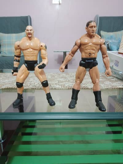 2 WWE Action Figures