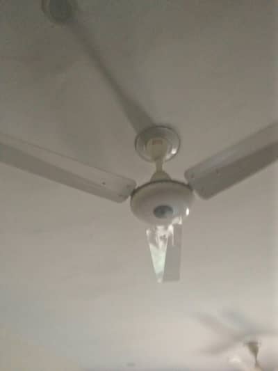 Gfc celling fan 99.99 person pur copper