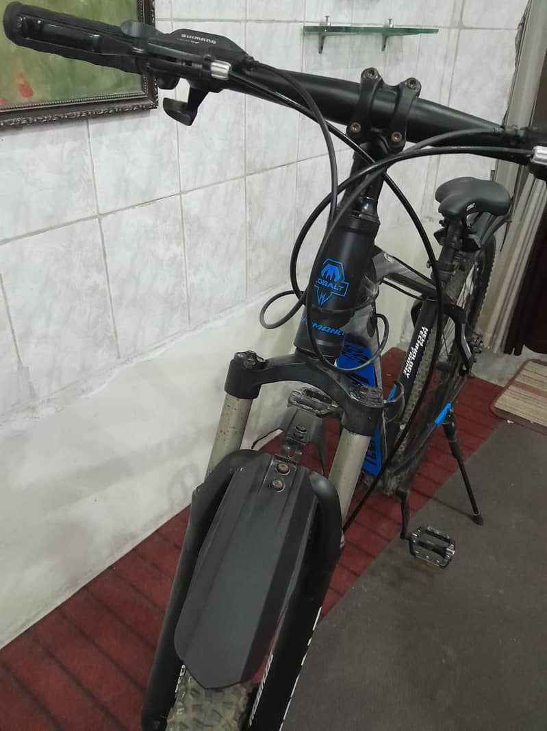 cobalt bicycle 11