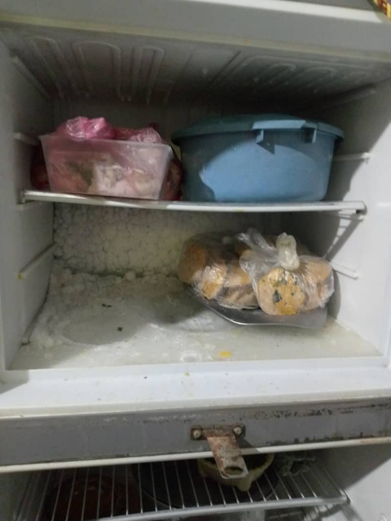 Dawlance ref  Medium size 3