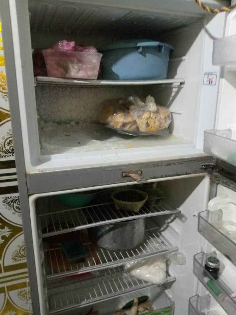 Dawlance ref  Medium size 5