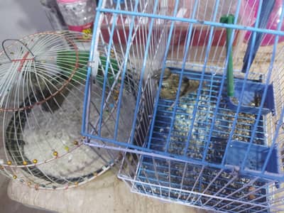 Irani Jal pair available for sale