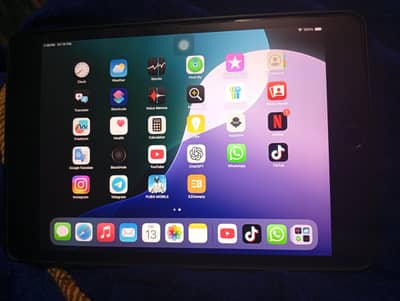 mini 5