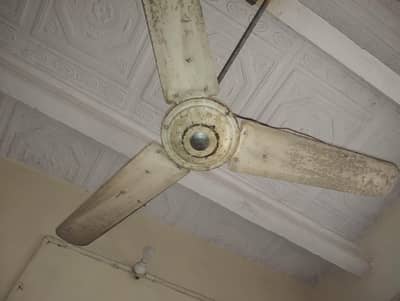 Roof Fan 03058579516