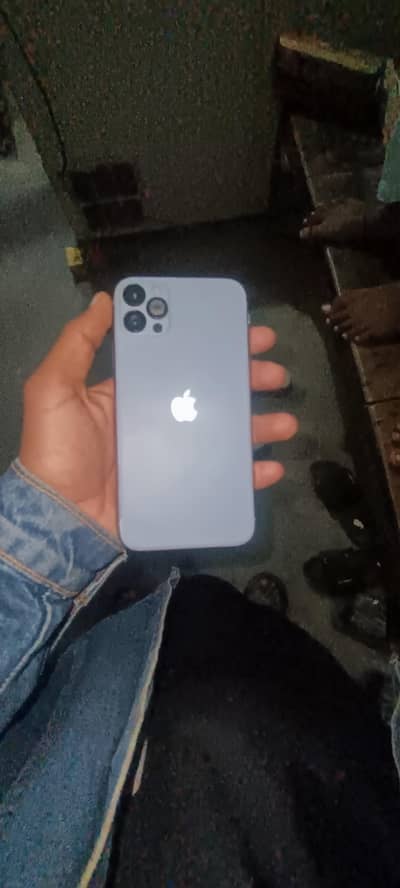 iPhone 11 convert in to 11 pro