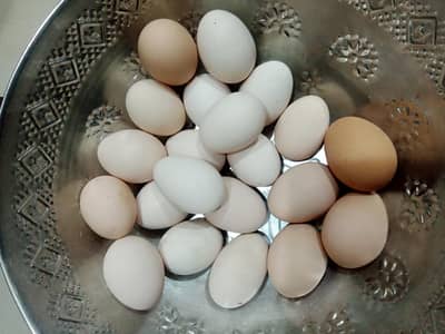 Astralope aur Desi Misri set for sale