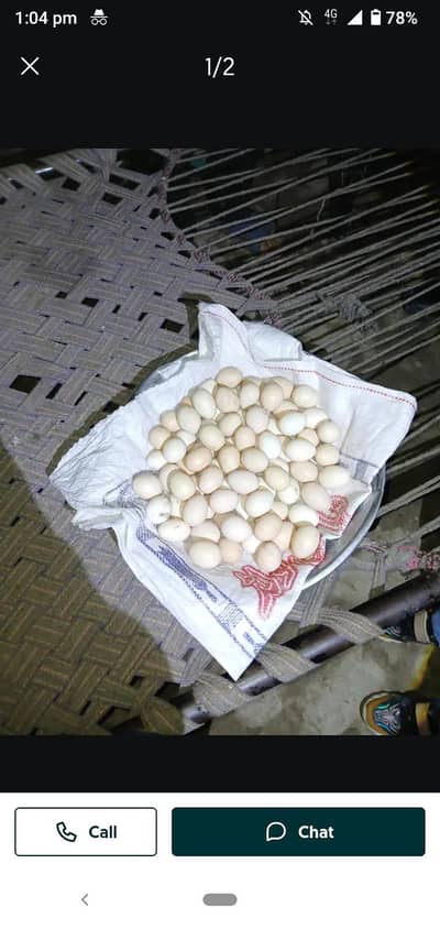 Desi Misri Fresh Eggs