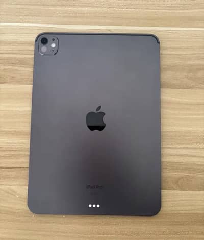 Ipad pro m4 chip 7th generation 256gb 13 inches i pad