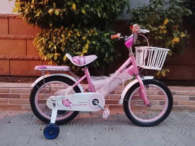 XTIANHANG imported cycle - 16 size - 0320-2257-271