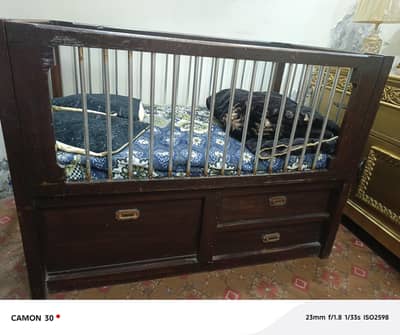 pure wood condition 10/9