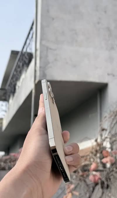 iPhone 12 Pro Max 256 gb Factory unlock