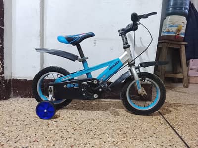 MAILEDI IMPORTED CYCLE - 12 size - 0320/2257/271