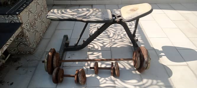 total paltsl 60kg ha