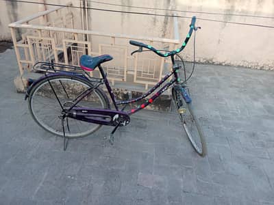 china bicycle