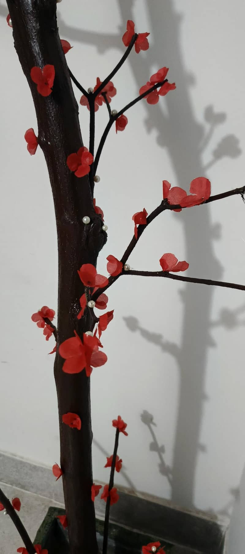 Red cherry tree 2