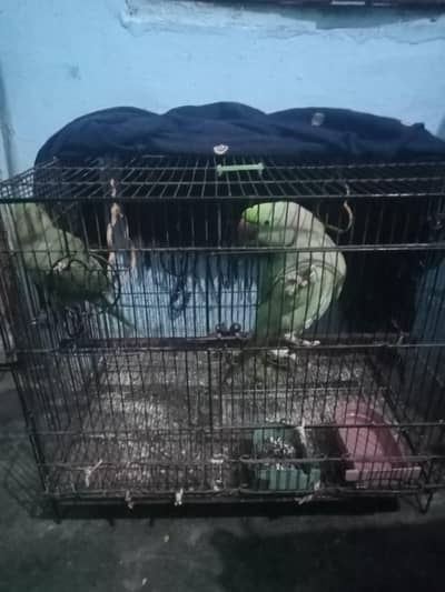 pahari tote pair for sale