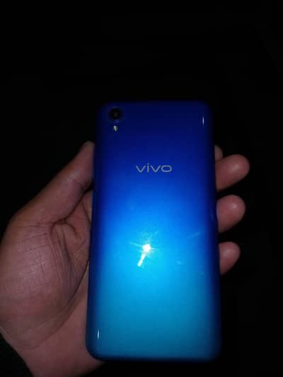 VIVO Y91C