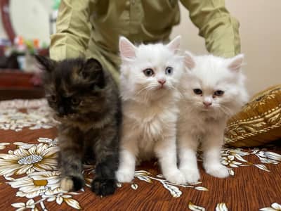 Two females one male