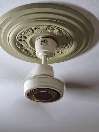 ceiling fans for sell