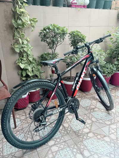 10/10 Condition Giant  Mountain Bi Cycle