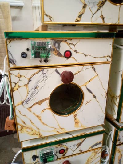 30 eggs incubator