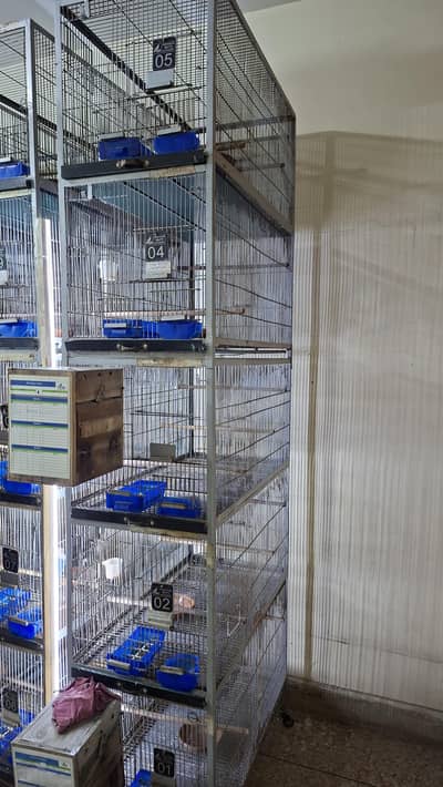Birds Cages For Sale