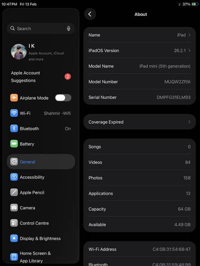 Ipad mini 5 PUBG KING