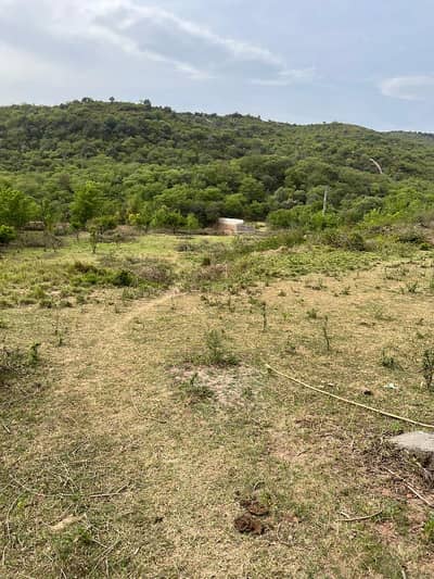 All Dues Clear Plot File In Sector E