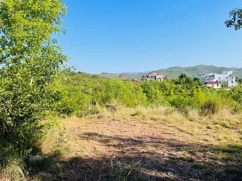 Sector B, Prime Location Plot File 7