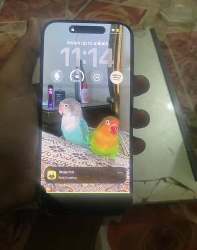 15 pro  back break or front sa thora sa panel