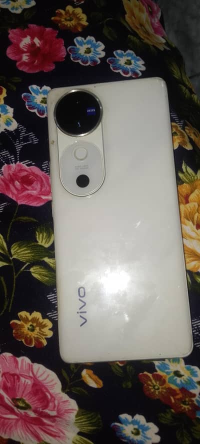 vivo v40 12/256