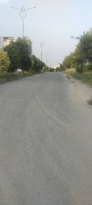 PLOT WITH UNIQUE FEATURES 1