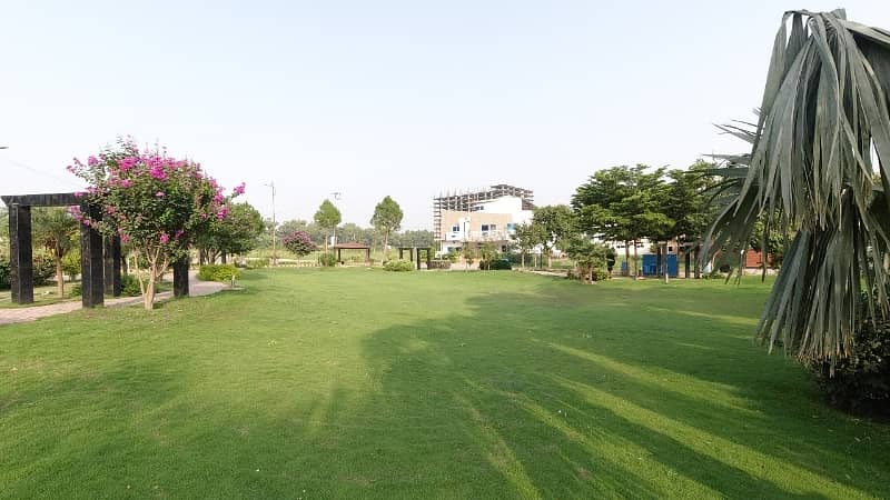 PLOT WITH UNIQUE FEATURES 6