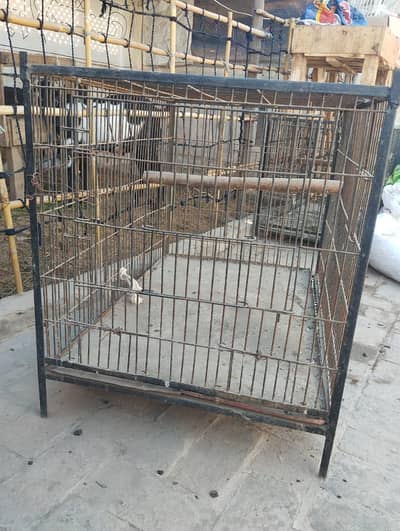 iron cage for sale