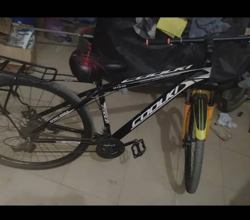 Coolki 29" cycle 2