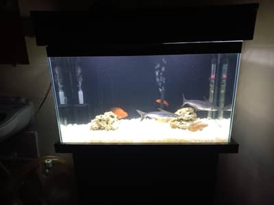 Aquarium with wood cabinets including some fishes and all accessories