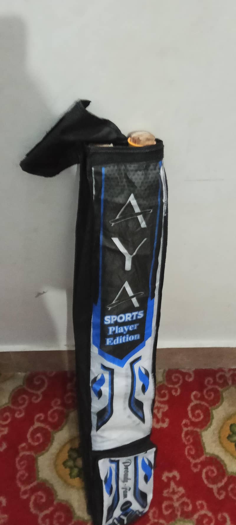 cricket bat 2