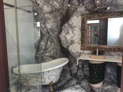 Stunning Like New 600 Yards Bungalow is Available For Rent