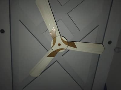 Ceiling Fan Just Like New