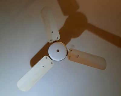 Breeze ceiling Fan | Off white