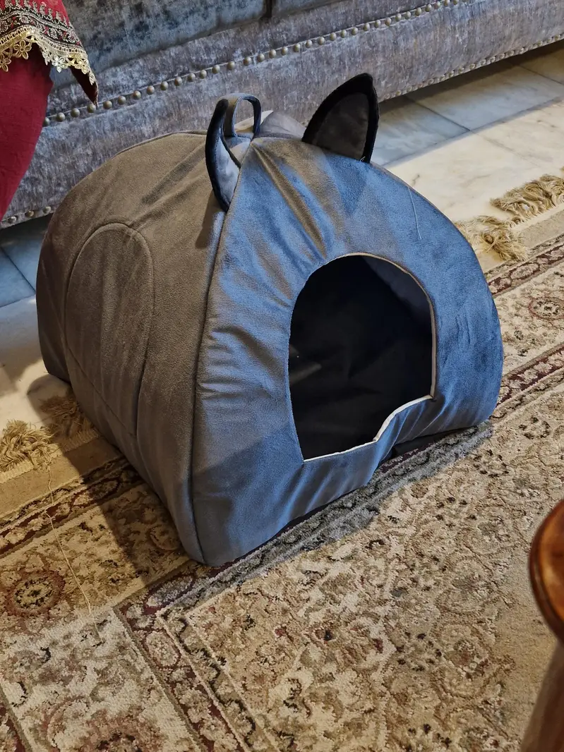 cat's home