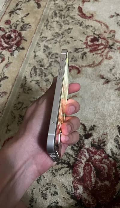 iPhone 12 Non Pta