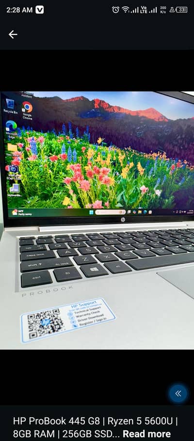 Ryzen 5600u 445  G8 8/256