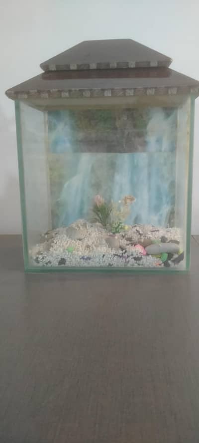 Small aquarium argent sell