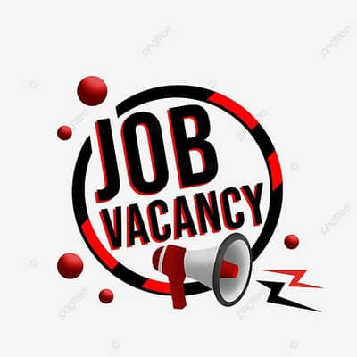 Data Entry Lead Generation (Remote Job)